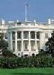 The White House.jpg